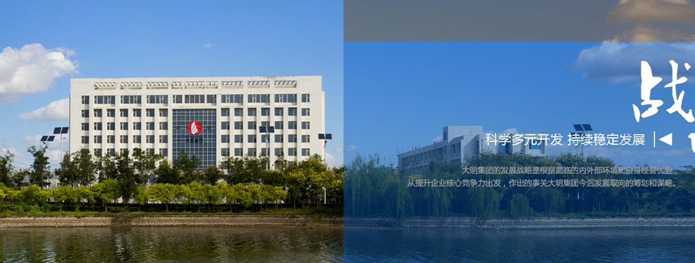 大明集團(tuán)首頁(yè)展示.png
